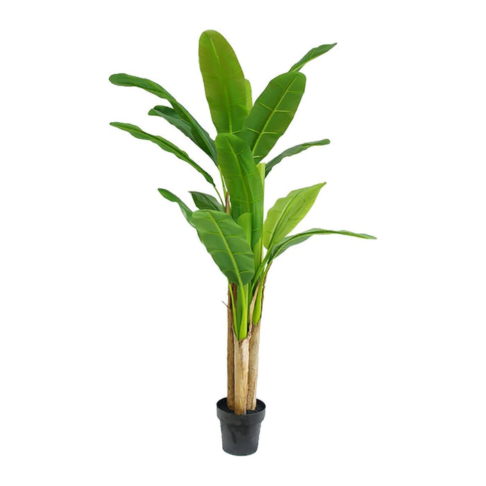 Pianta Ornamentale Per Interno Ed Esterno Albero Di Banano Artificiale In Vaso