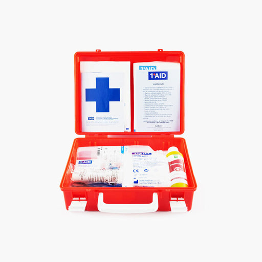 1aid kit valigetta pronto soccorso all 2 dm 3882003 e s m i con supporto a parete ean 8052462320044
