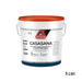 immagine-1-casasana-casasana-pittura-anticondensa-antimuffa-fonoassorbente-5lt-bianco-ean-8010589759994