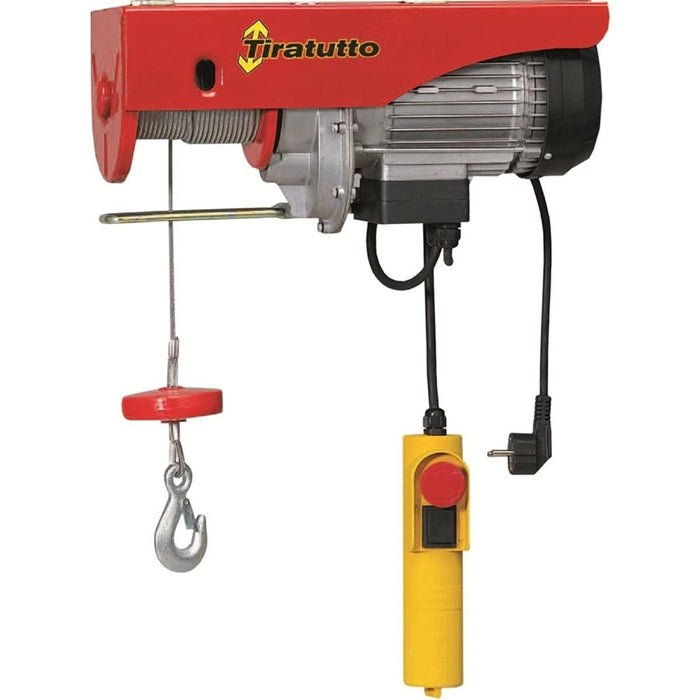 immagine-1-europea-paranco-elevatore-elettrico-multiuso-portata-125kg-450w-ean-9501449266954