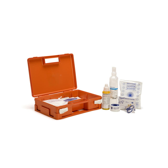 immagine-1-pharmapiu-valigetta-pronto-soccorso-allegato-2-adriamed-cat-c-pharmapiu-6602ar-ean-7427244889308