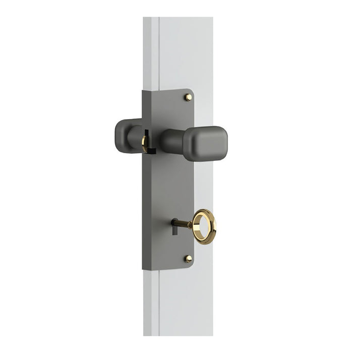 immagine-1-pinto-serratura-universale-in-argento-con-pomolo-completa-di-accessori-poserallar