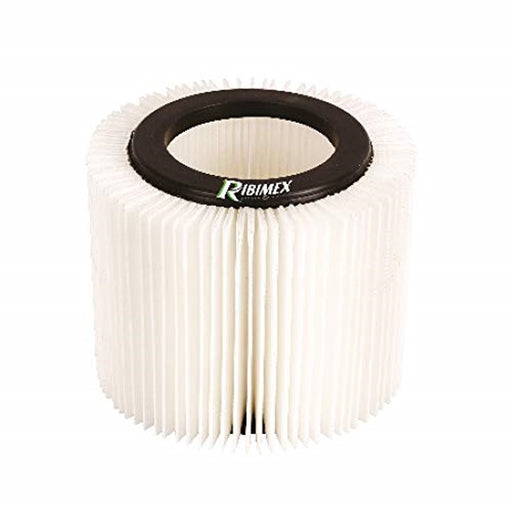 immagine-1-ribimex-filtro-di-ricambio-per-aspirix-30l-prasp31lpehepa-ean-8033866843483