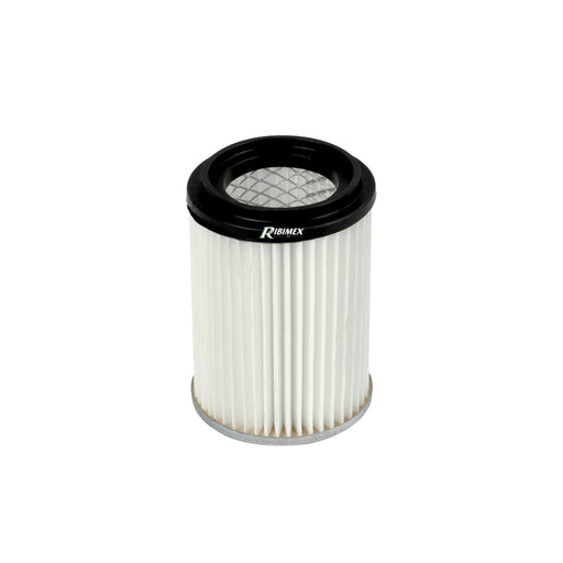 immagine-1-ribimex-filtro-hepa-di-ricambio-per-ceneasp-ribimex-prcenasp1h-ean-8033866843384
