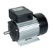 immagine-1-ribimex-motore-elettrico-2-cv-1400-girimin-asse-19-mm-ribimex-m2m14-ean-3700194403874