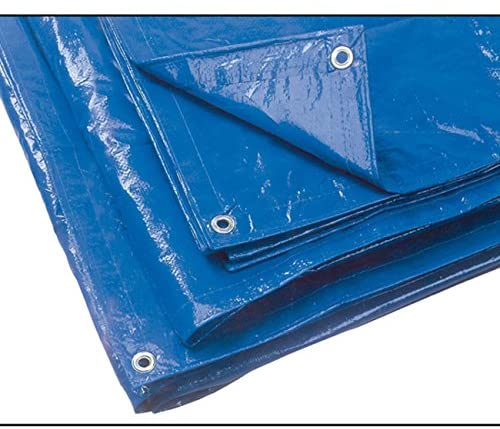 immagine-1-teli-occhiellati-polietilene-3x4-verde-ean-9900100278556